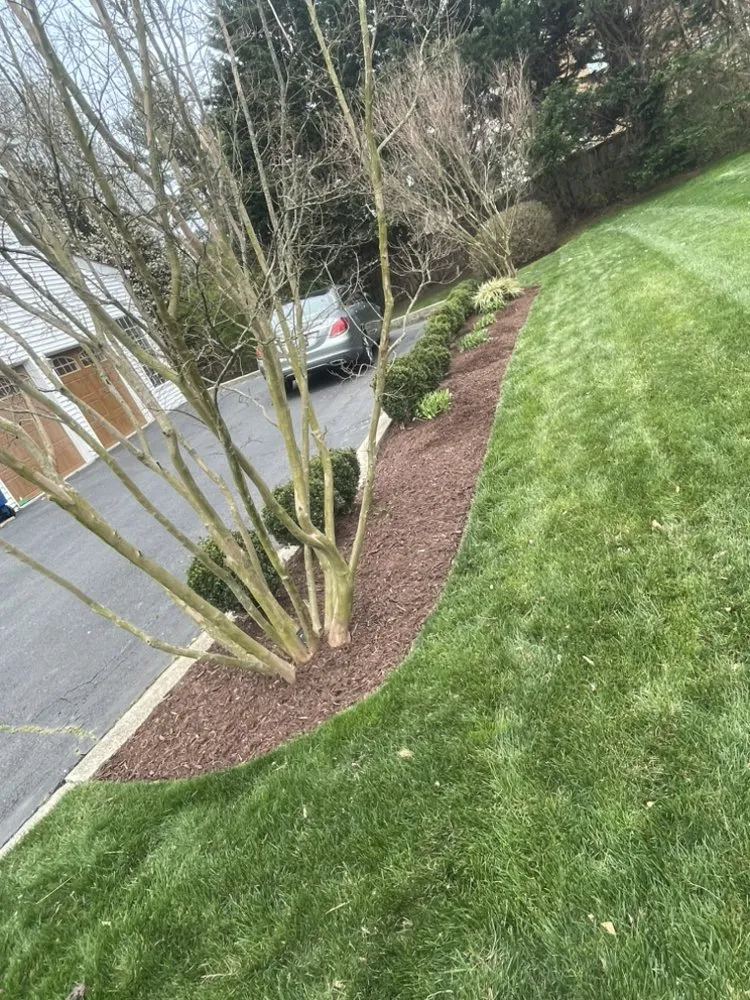 Affordable landscape installation for homes across Manassas, VA - Escobar Landscaping