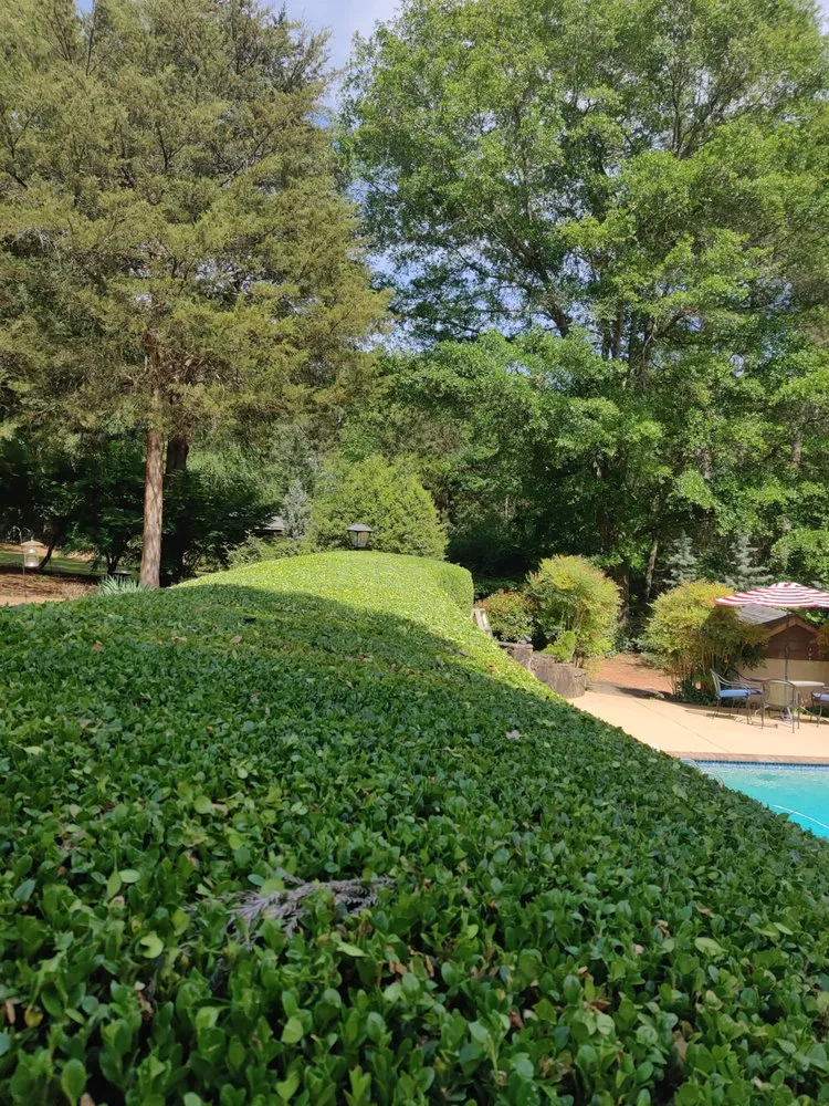 Local lawn care service in Nicholson, GA by Escobar Landscaping