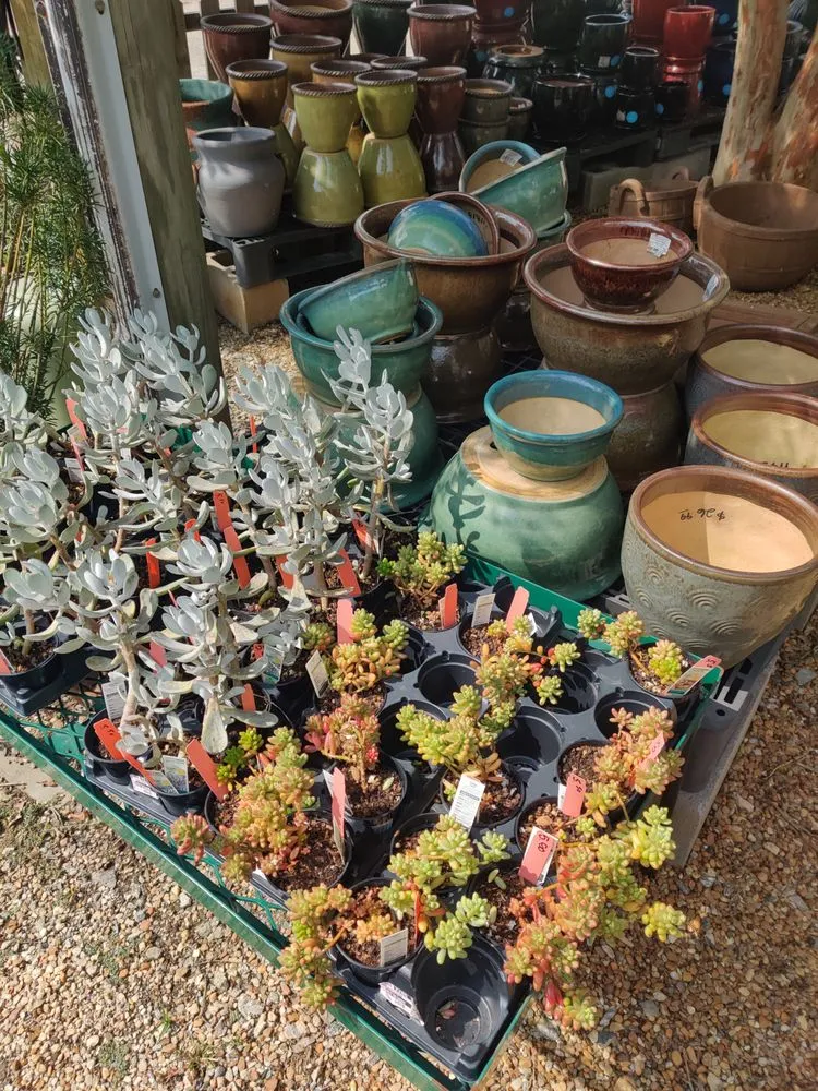 Professional yard maintenance near you across Nicholson, GA - Escobar Landscaping