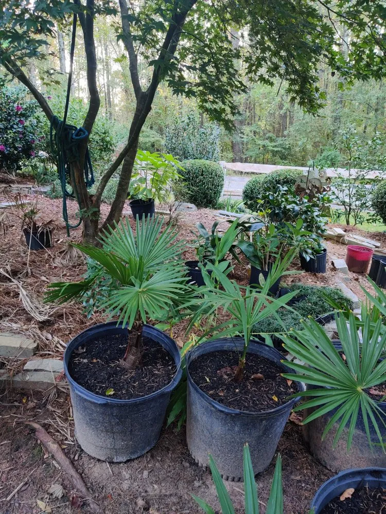 Local landscaping services experts serving Nicholson, GA - Escobar Landscaping