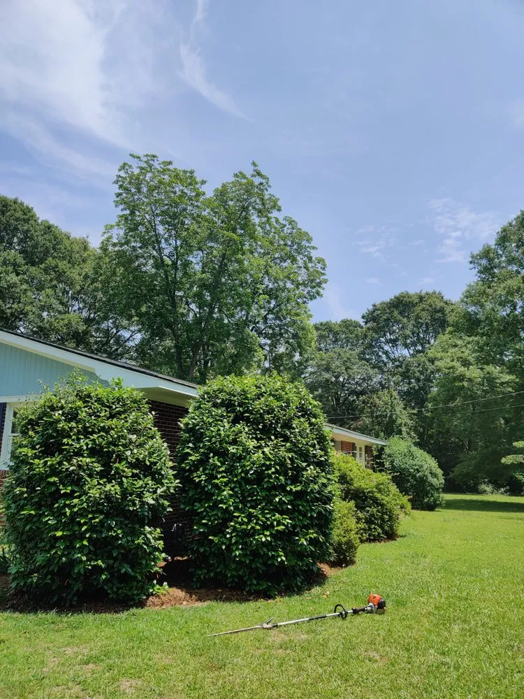 Expert yard cleanup service for year-round maintenance in Nicholson, GA by Escobar Landscaping