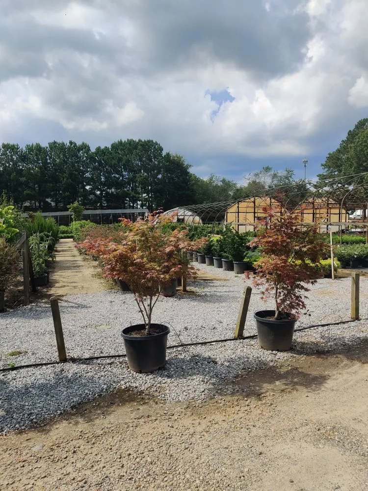 Reliable lawn care service in Nicholson, GA by Escobar Landscaping