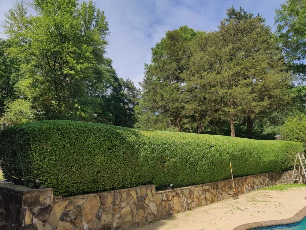 Custom yard maintenance experts serving Nicholson, GA - Escobar Landscaping