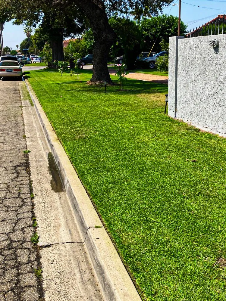 Custom yard maintenance in Santa Ana, CA - Escobar Landscaping