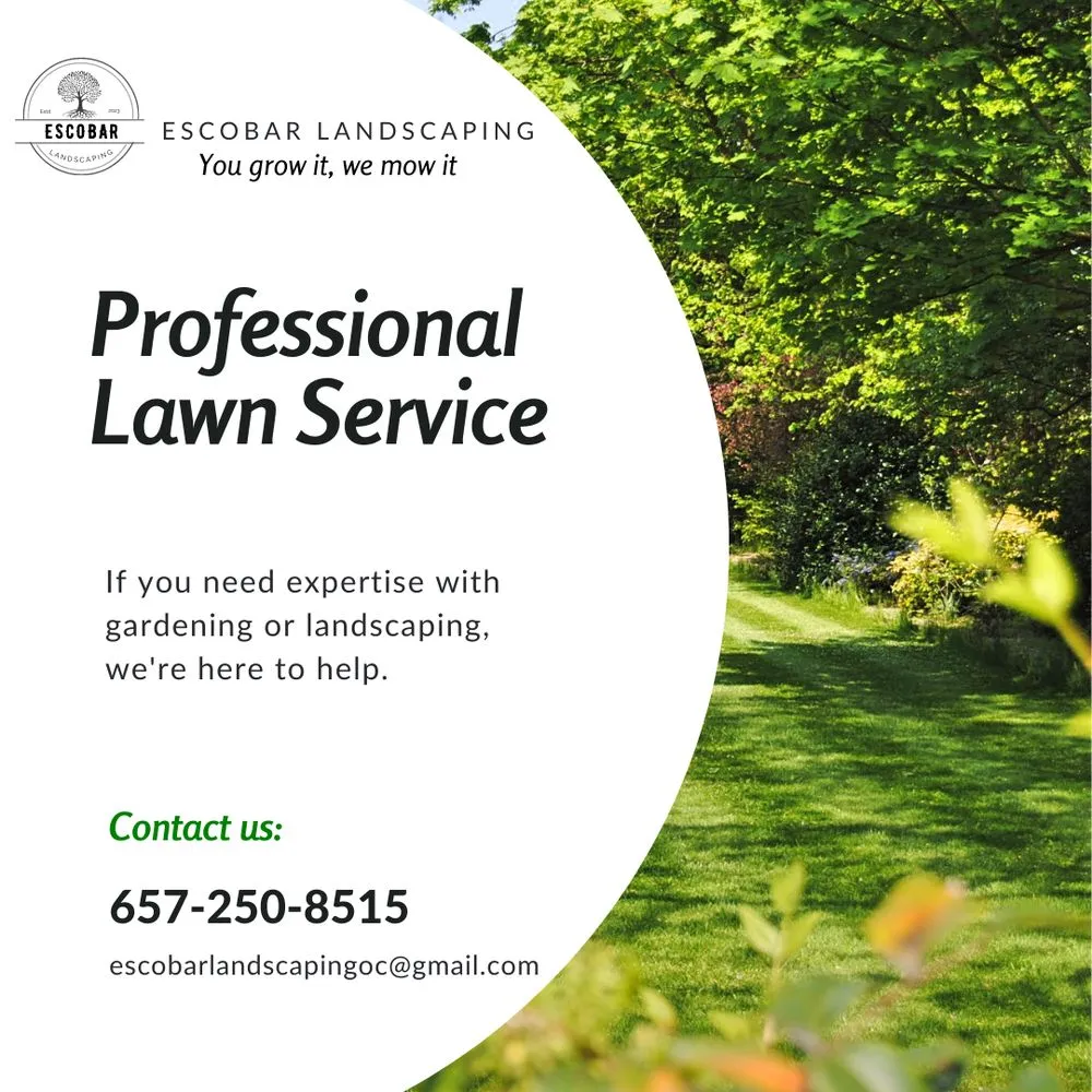 Affordable landscape design in Santa Ana, CA by Escobar Landscaping