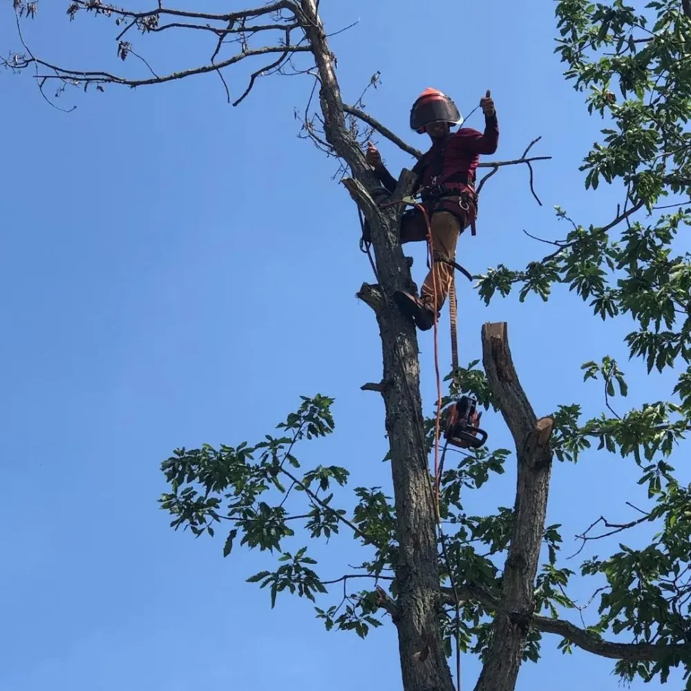 Professional lawn mowing service in Sicklerville, NJ by Escobar Landscaping