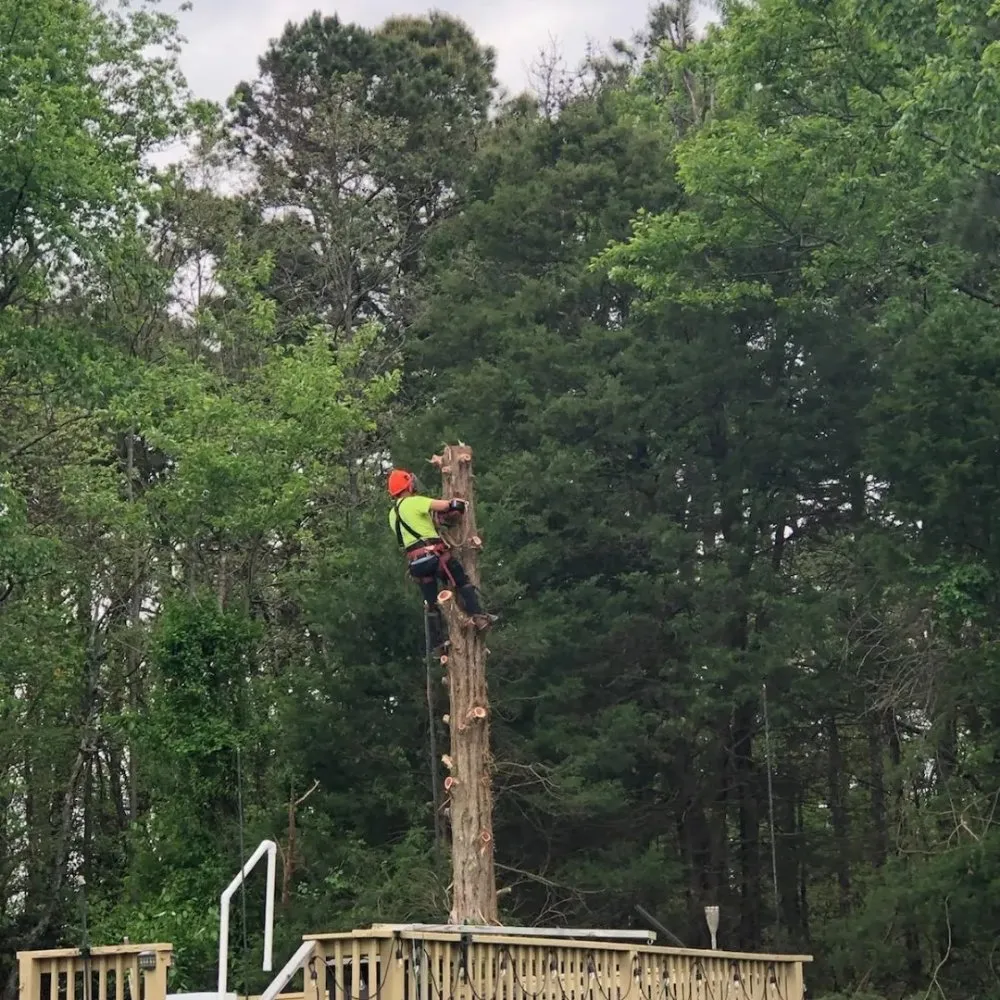 Reliable landscape installation in Sicklerville, NJ - Escobar Landscaping