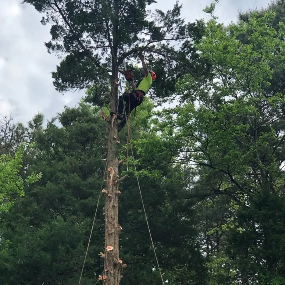 Custom lawn mowing service in Sicklerville, NJ - Escobar Landscaping