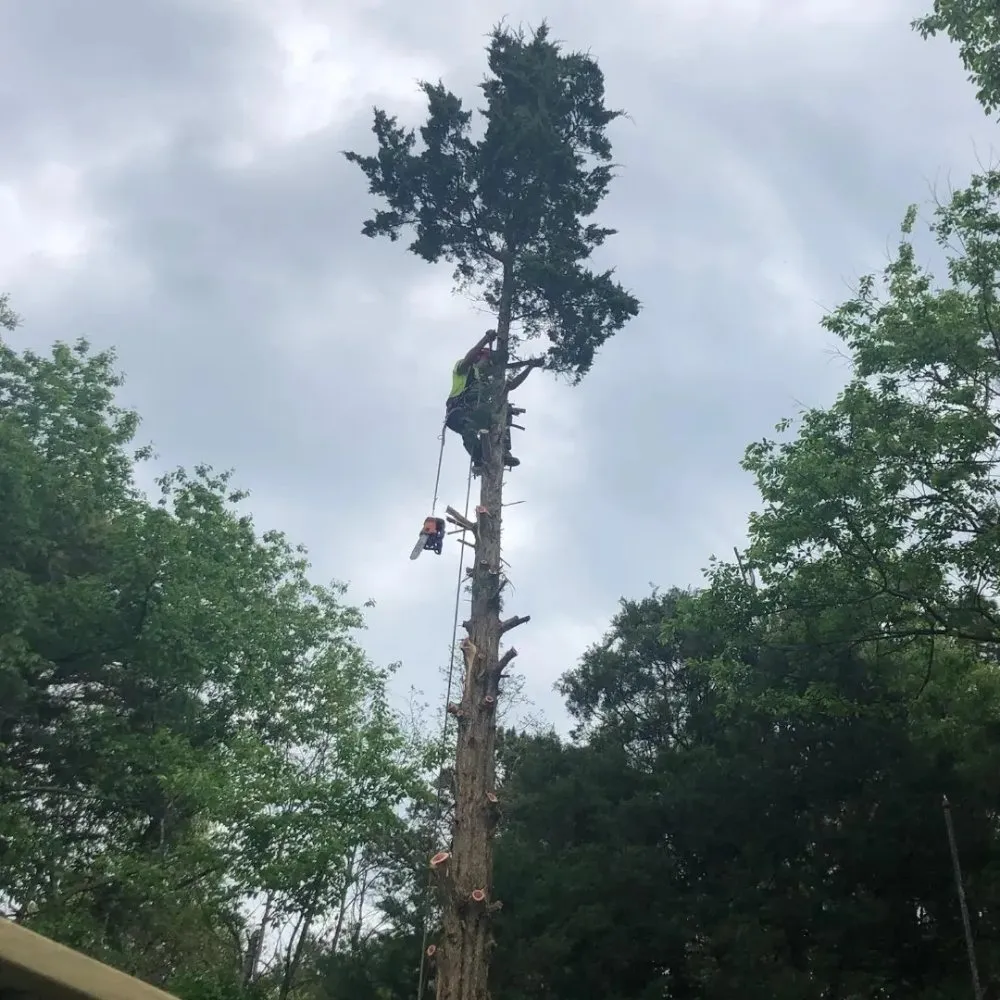 Trusted residential landscaping experts serving Sicklerville, NJ - Escobar Landscaping