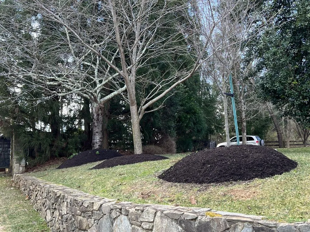 Top-rated outdoor landscaping for beautiful yards across Woodbridge, VA - Escobar Landscaping