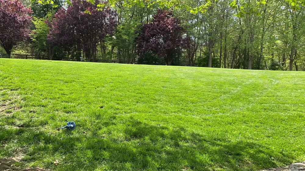 Custom residential landscaping in Woodbridge, VA by Escobar Landscaping