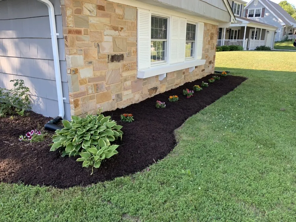 Reliable yard maintenance in Silver Spring, MD - Escobar Lawn Service