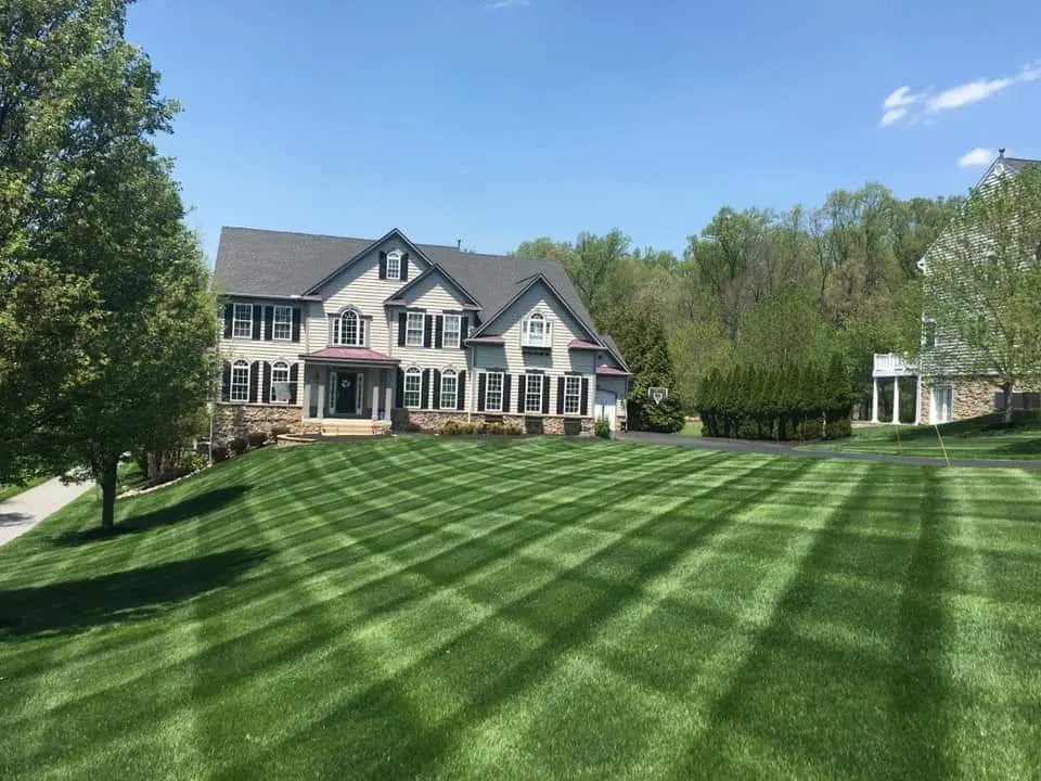 Reliable landscape design experts serving Silver Spring, MD - Escobar Lawn Service