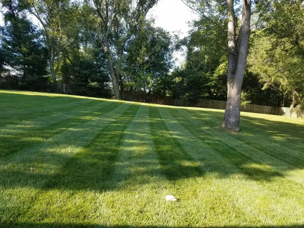 Professional yard maintenance experts serving Silver Spring, MD - Escobar Lawn Service