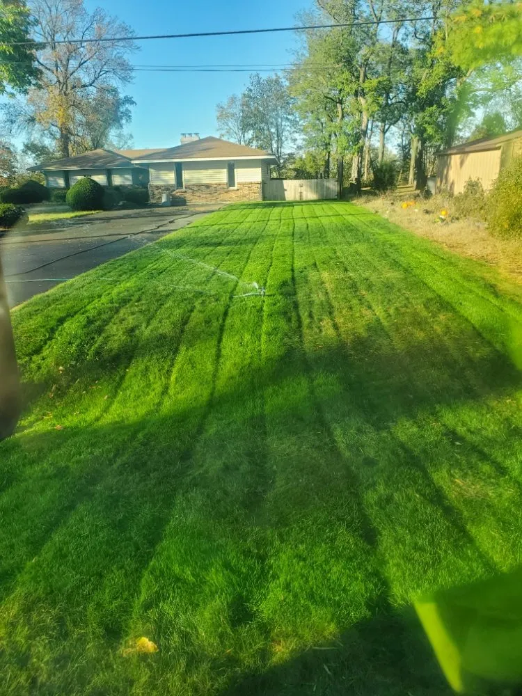 Reliable yard maintenance experts serving Rockford, IL - Escobar Lawn Services