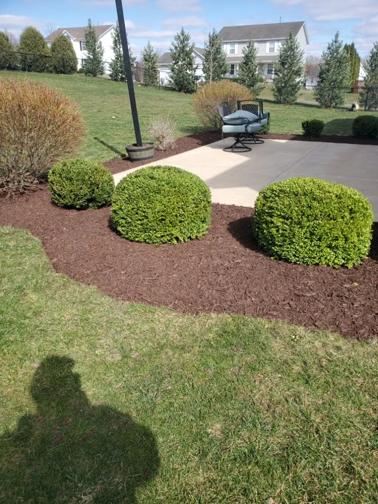 Trusted yard cleanup service for homes across Rockford, IL - Escobar Lawn Services