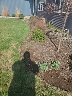 Escobar Lawn Services