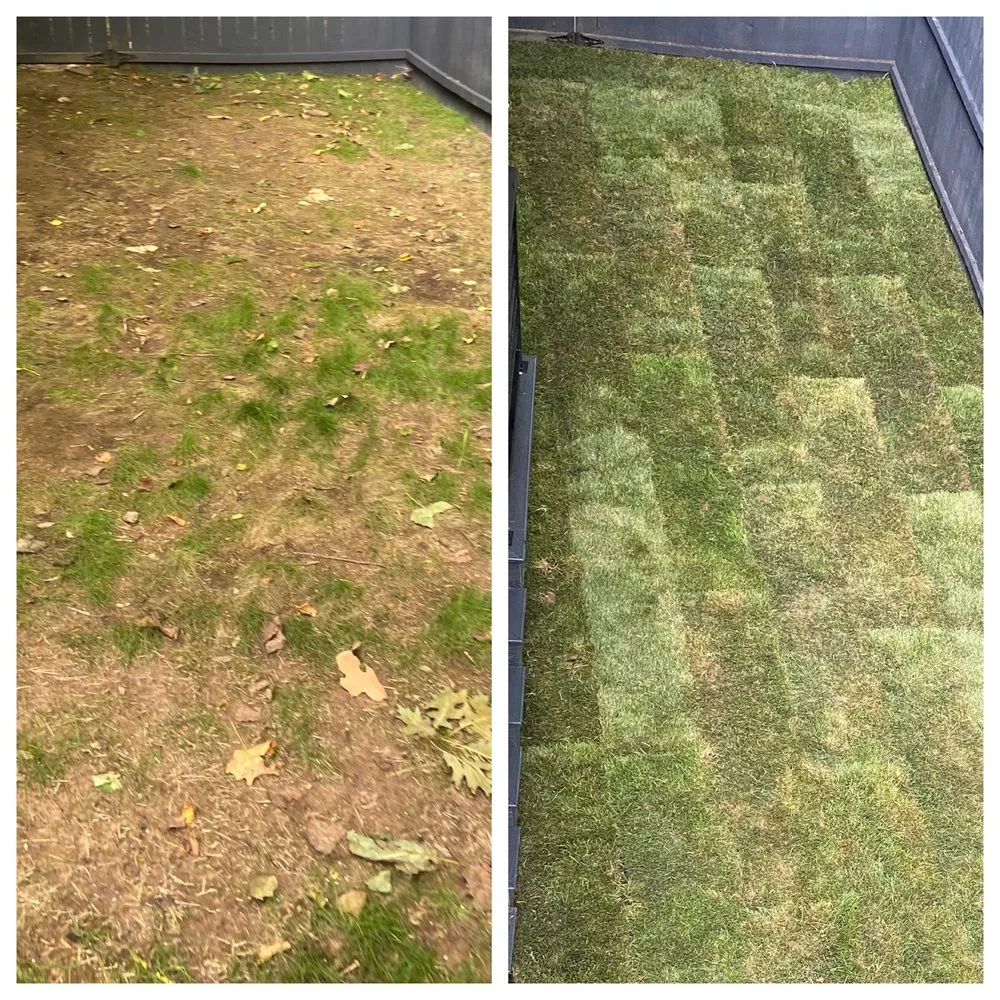 Affordable outdoor landscaping for residential properties across Middletown, NY - Escobar Sod