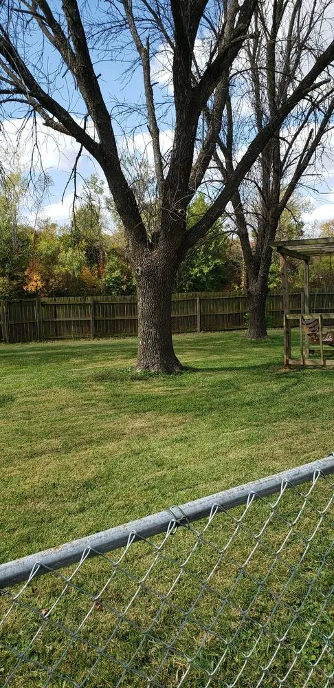 Affordable outdoor landscaping experts serving Kansas City, KS - Escobar Tree and Lawn Service