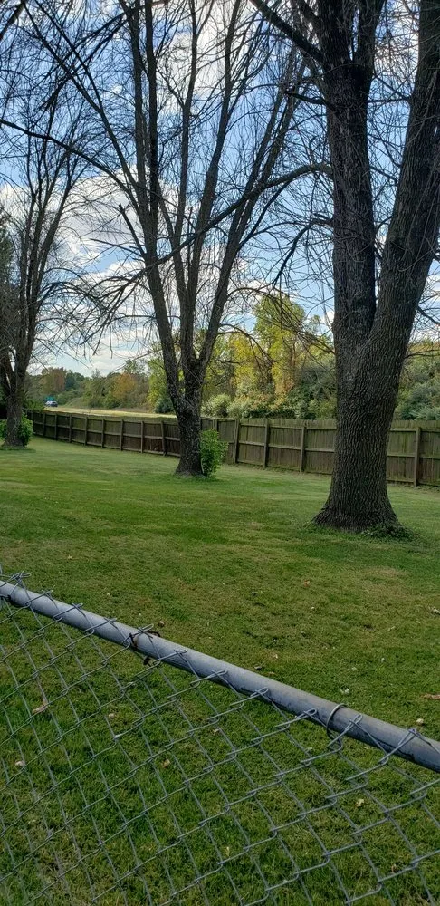 Professional yard cleanup service in Kansas City, KS by Escobar Tree and Lawn Service