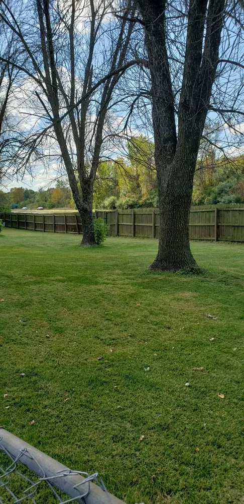 Reliable landscape installation in Kansas City, KS - Escobar Tree and Lawn Service