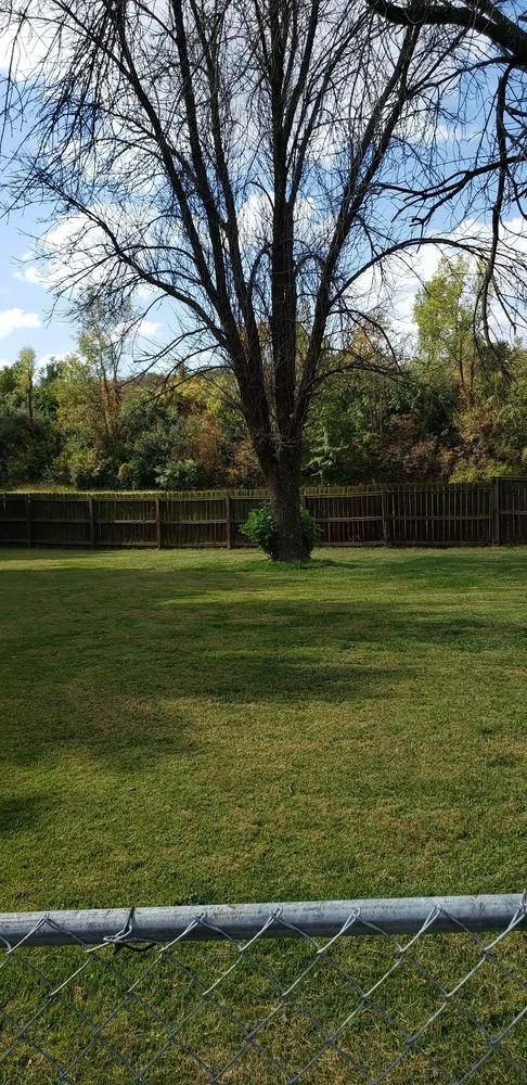 Top-rated lawn care service for outdoor upgrades across Kansas City, KS - Escobar Tree and Lawn Service