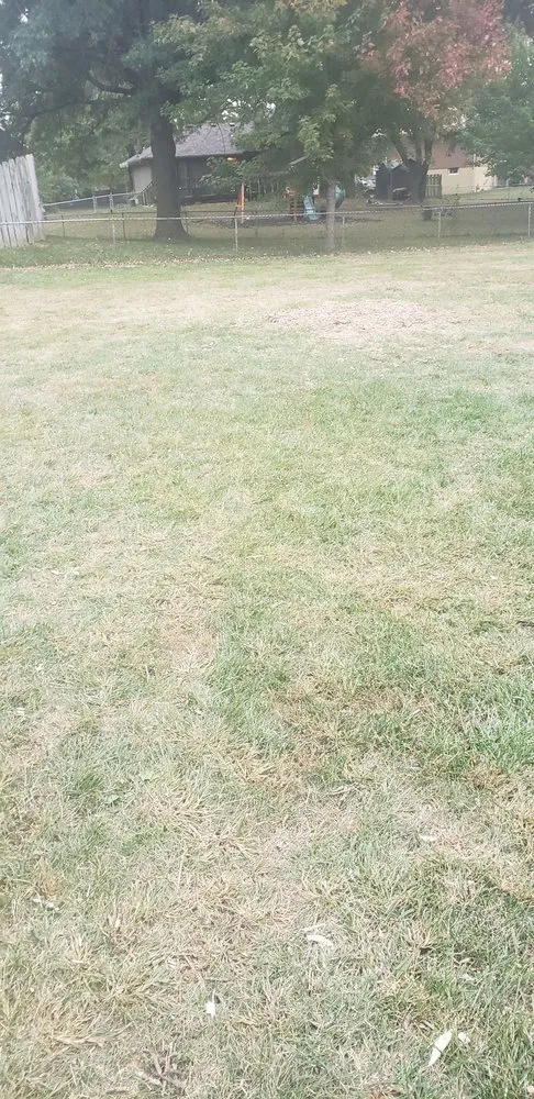 Local landscape design experts serving Kansas City, KS - Escobar Tree and Lawn Service