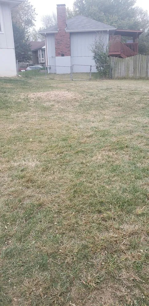 Affordable garden landscaping experts serving Kansas City, KS - Escobar Tree and Lawn Service