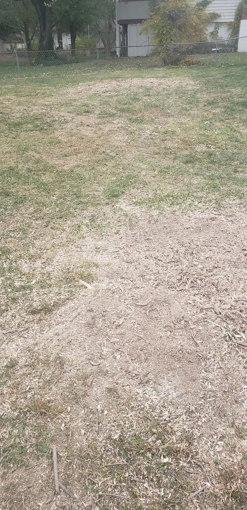 Reliable landscape design in Kansas City, KS - Escobar Tree and Lawn Service