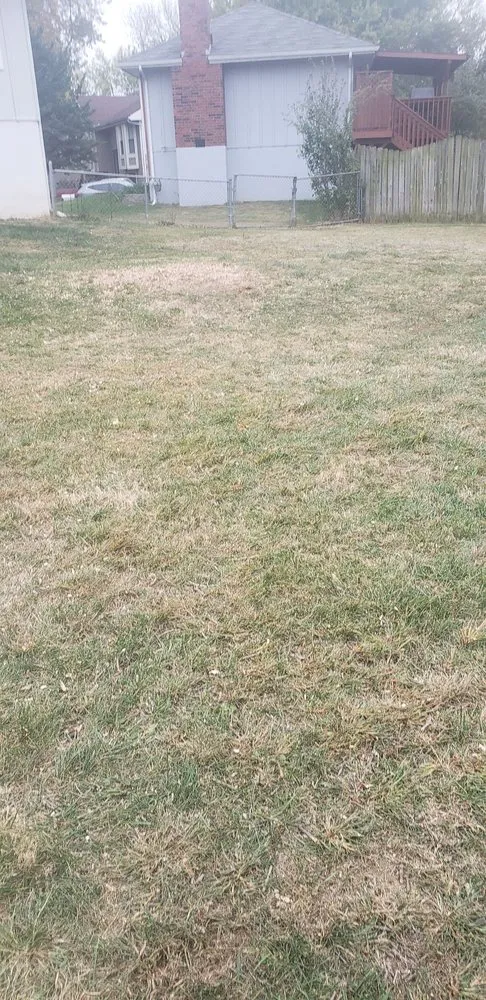 Affordable outdoor landscaping in Kansas City, KS by Escobar Tree and Lawn Service