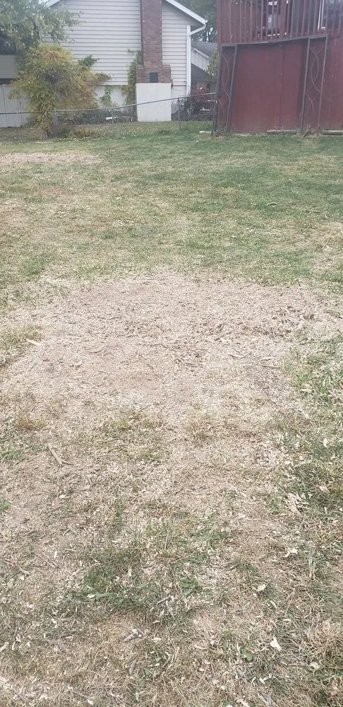 Professional landscaping services in Kansas City, KS by Escobar Tree and Lawn Service