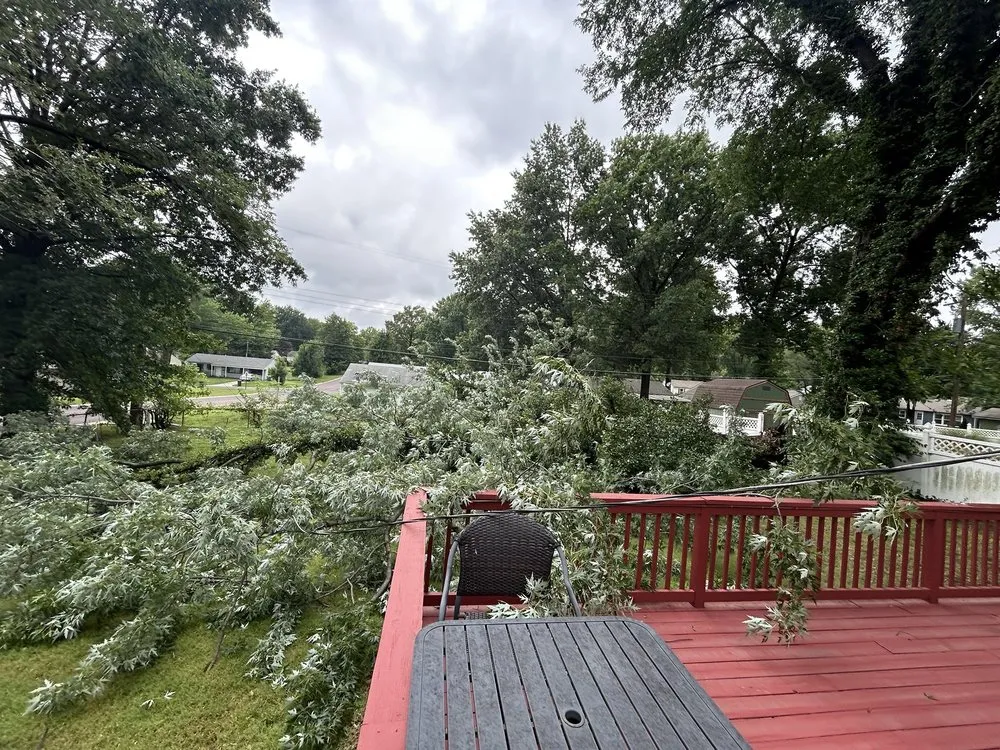 Top-rated yard maintenance in Kansas City, KS - Escobar Tree and Lawn Service