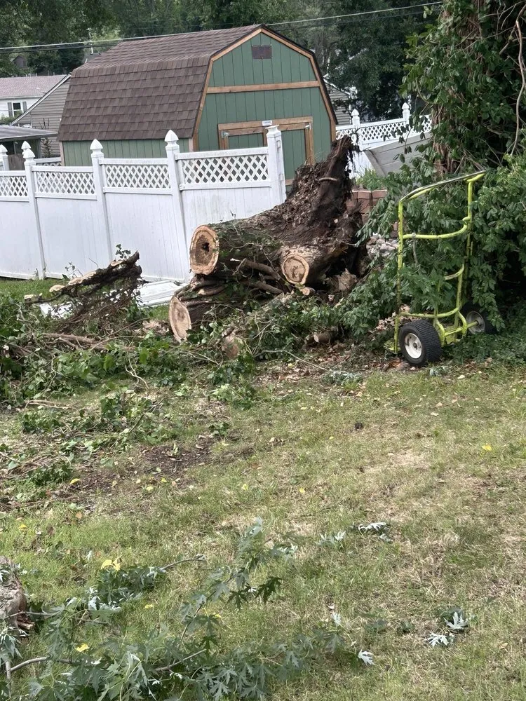 Reliable lawn care service in Kansas City, KS - Escobar Tree and Lawn Service