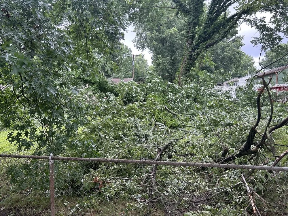 Local landscape design in Kansas City, KS - Escobar Tree and Lawn Service