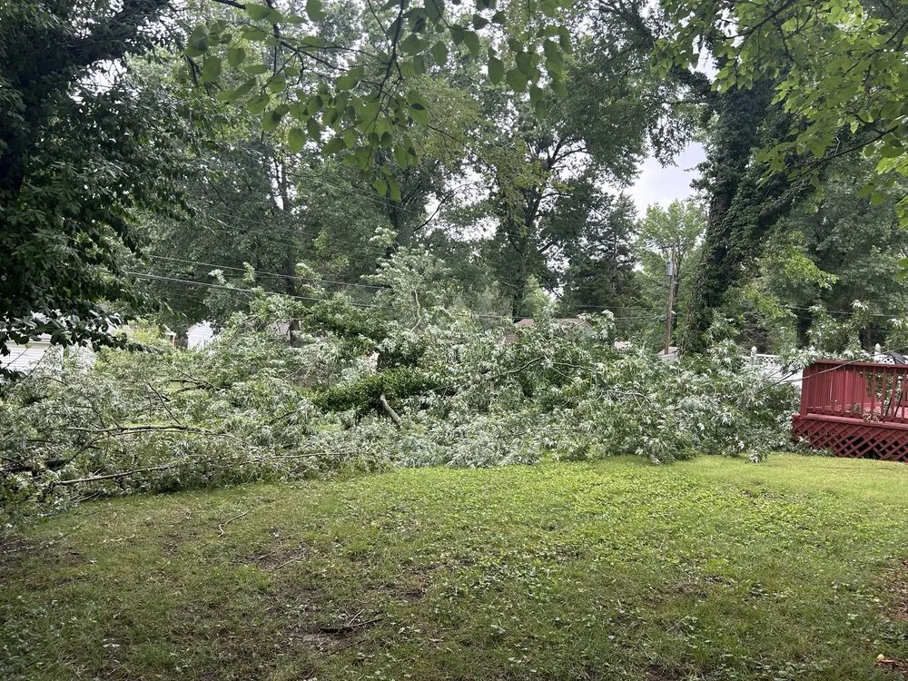 Professional yard cleanup service for homes in Kansas City, KS by Escobar Tree and Lawn Service