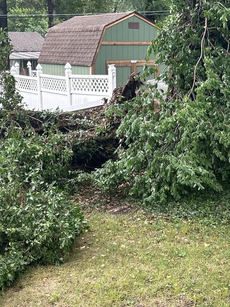 Reliable landscape installation in Kansas City, KS by Escobar Tree and Lawn Service