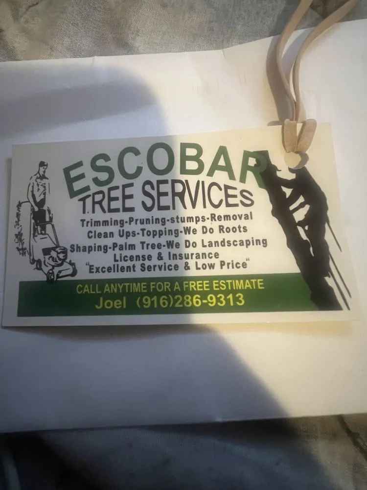 Affordable outdoor landscaping experts serving Sacramento, CA - Escobar Tree Services