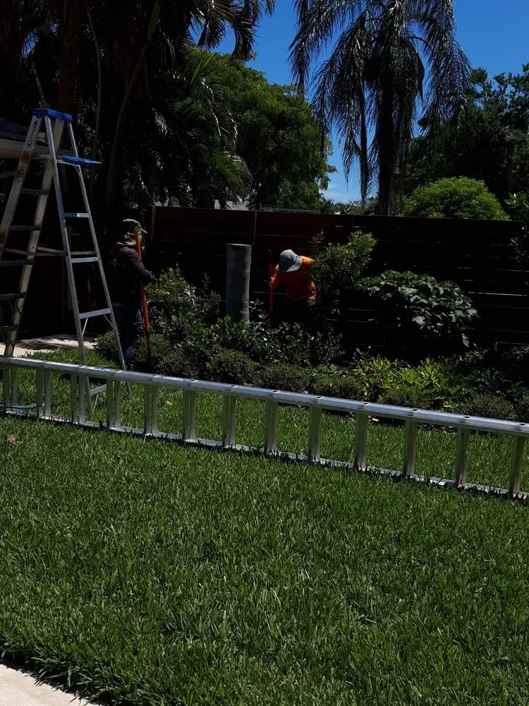 Custom yard cleanup service in West Palm Beach, FL - Escobar Tree Services