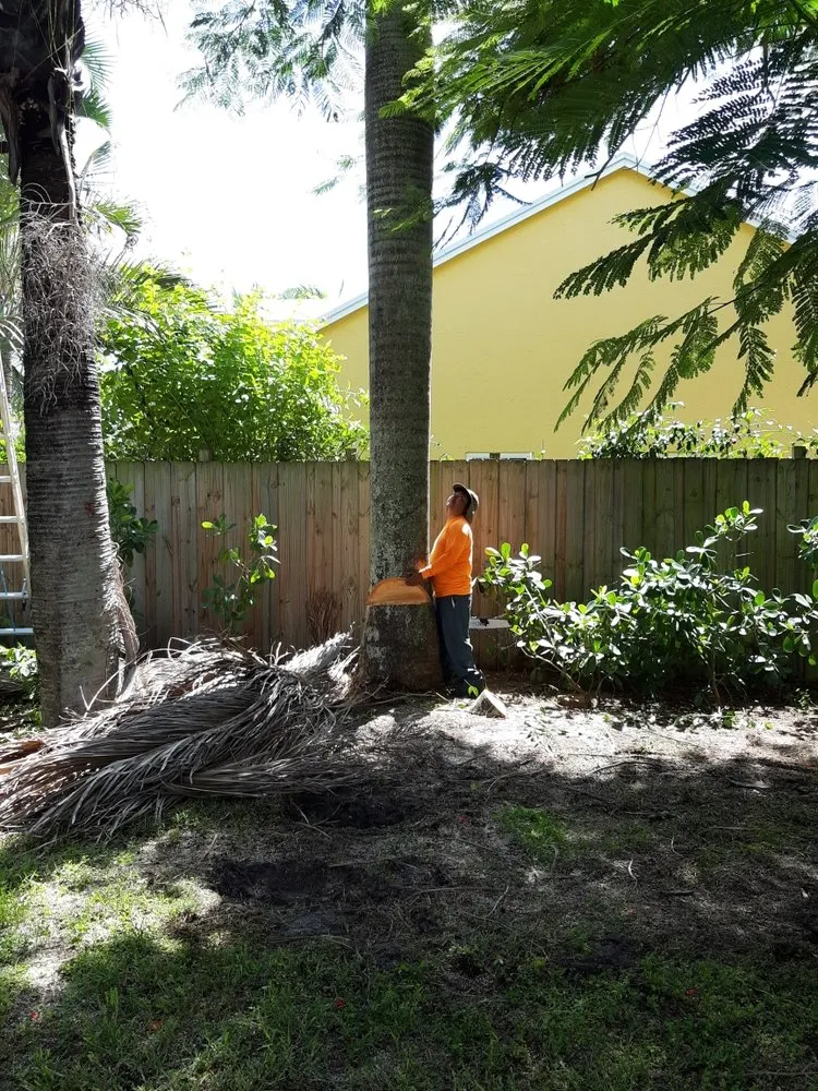Custom lawn mowing service for beautiful yards across West Palm Beach, FL - Escobar Tree Services