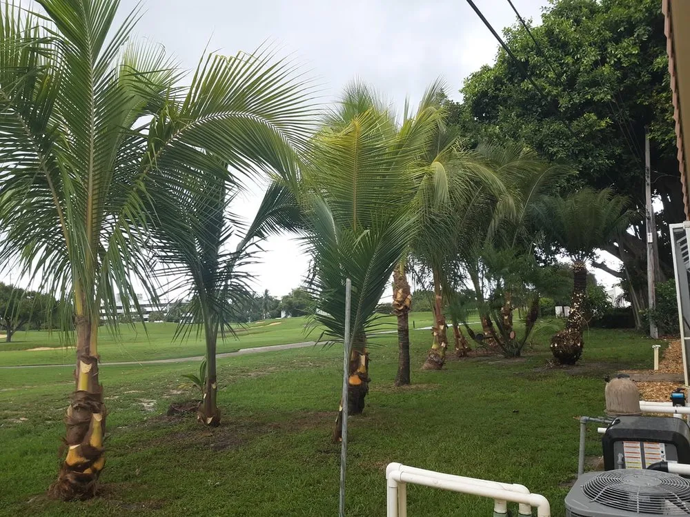 Trusted residential landscaping experts serving West Palm Beach, FL - Escobar Tree Services