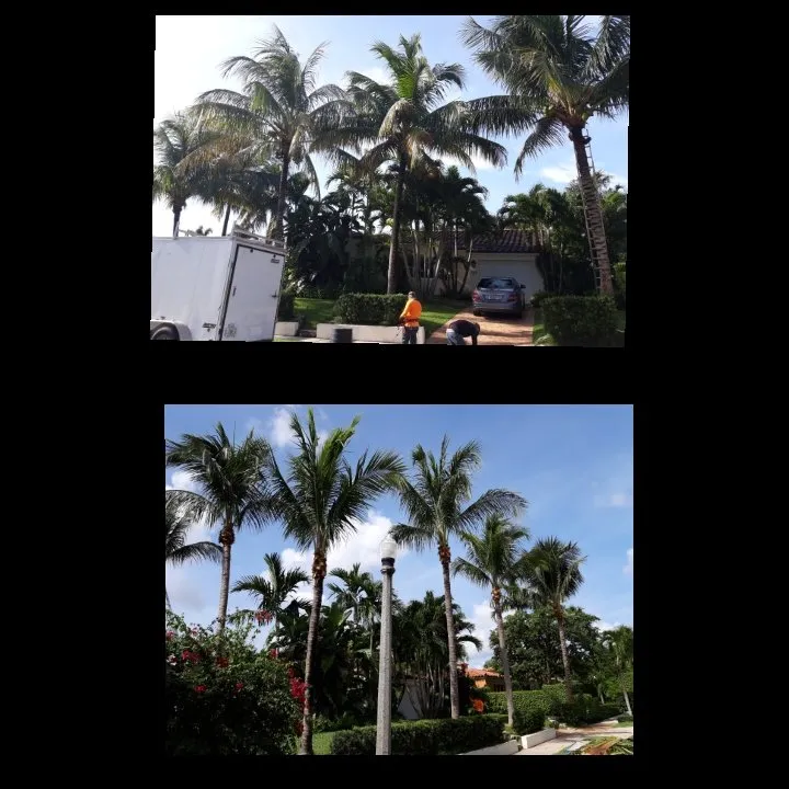 Trusted lawn mowing service for homes across West Palm Beach, FL - Escobar Tree Services