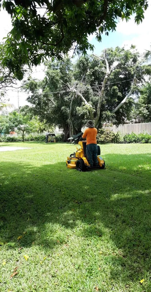 Top-rated lawn care service in West Palm Beach, FL by Escobar Tree Services