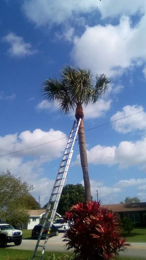 Trusted landscape design experts serving West Palm Beach, FL - Escobar Tree Services