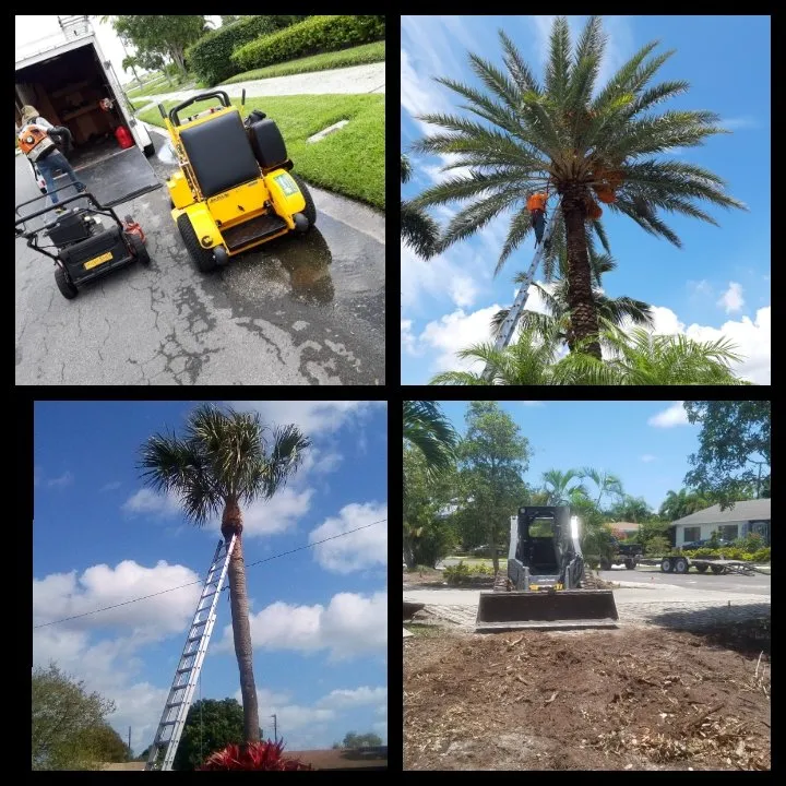 Top-rated outdoor landscaping in West Palm Beach, FL by Escobar Tree Services