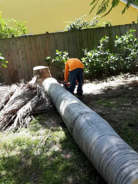 Local landscape installation near you across West Palm Beach, FL - Escobar Tree Services