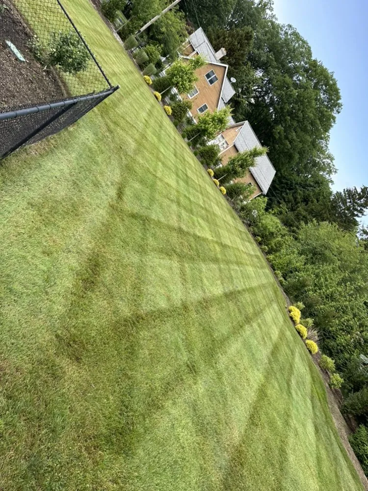 Affordable yard maintenance in Nanuet, NY by Escobar’s Landscaping & Services