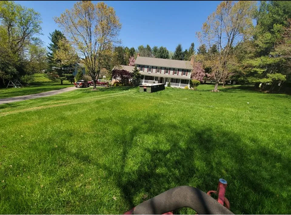 Trusted landscaping services for beautiful yards in Easton, MD by Escobar’s Landscaping