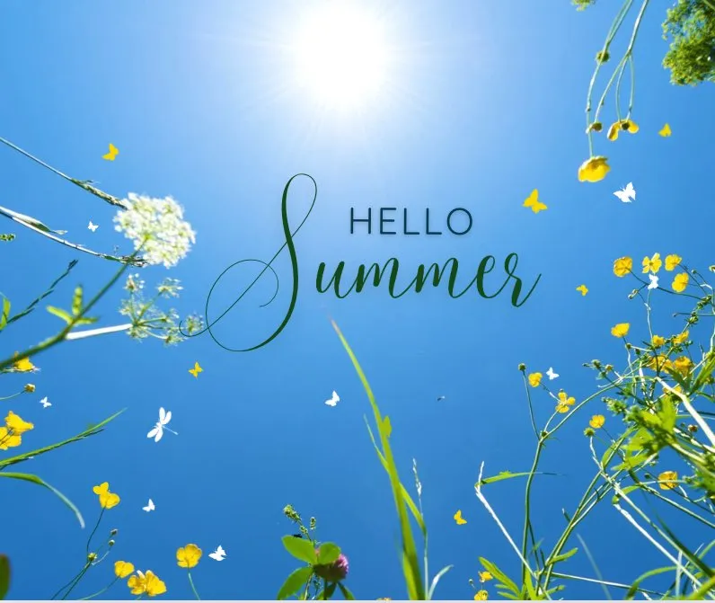 Expert landscape design for residential properties across Easton, MD - Escobar’s Landscaping