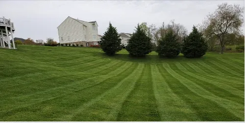 Trusted residential landscaping experts serving Easton, MD - Escobar’s Landscaping