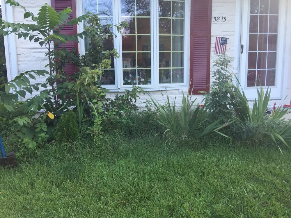 Professional landscape design experts serving Woodbridge, VA - Escobar's Lawn Services